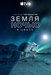 Земля ночью в цвете смотреть онлайн 5,6,7 серия