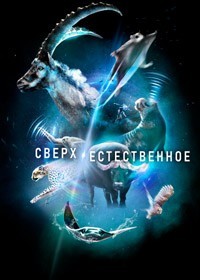 Сверх/Естественное смотреть онлайн 5,6,7 серия